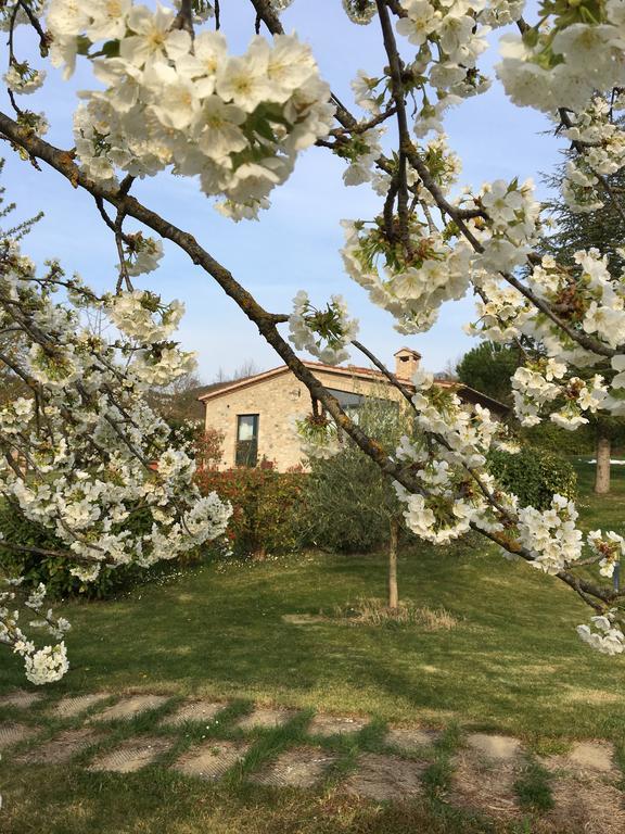 Agricola Caicucci Villa Montone  Buitenkant foto